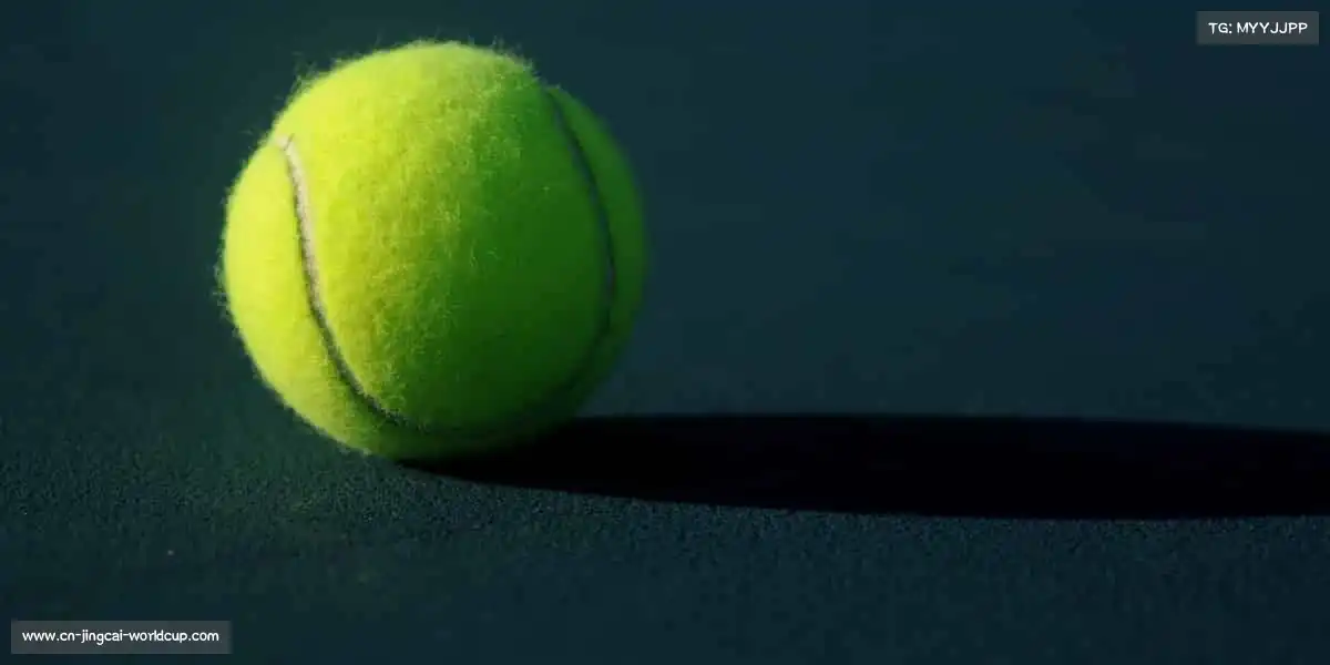 行业领先的理由